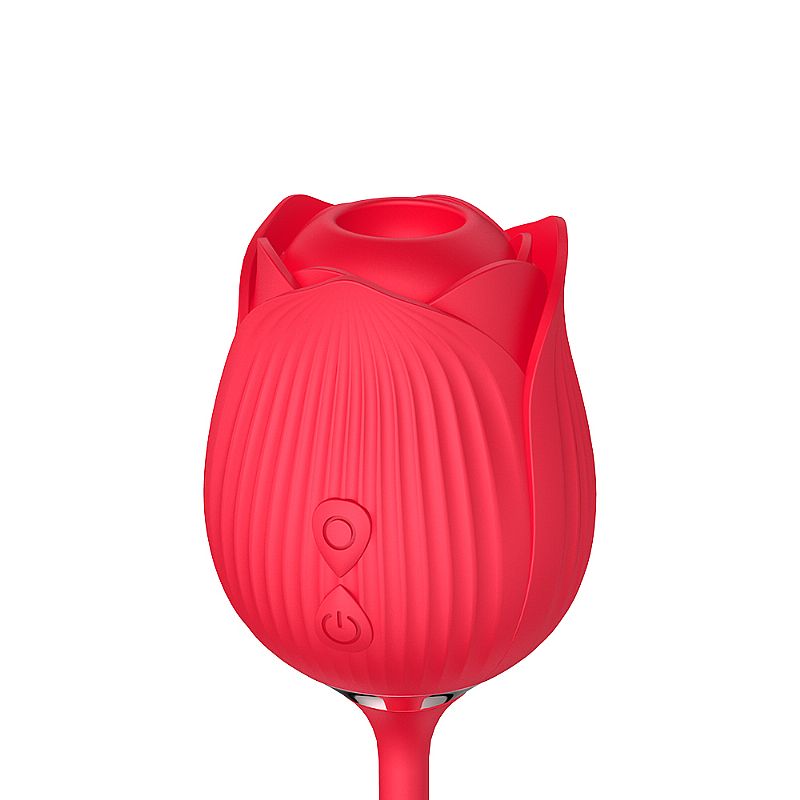 Ponto G e Vibrador Clitoral, Modos de Vibração Frente e Traseira - Forma Rosa - SI